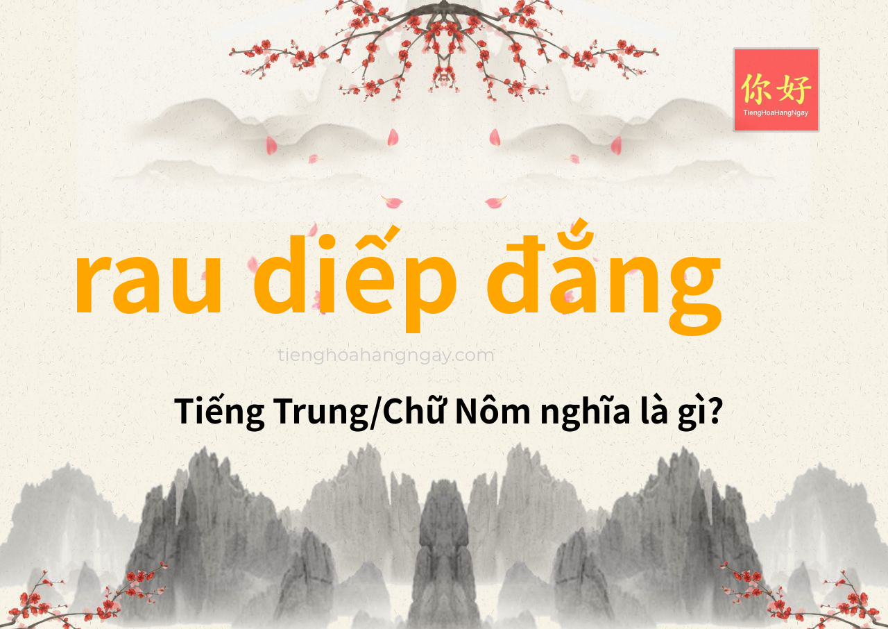 rau diếp đắng tiếng Trung là gì?